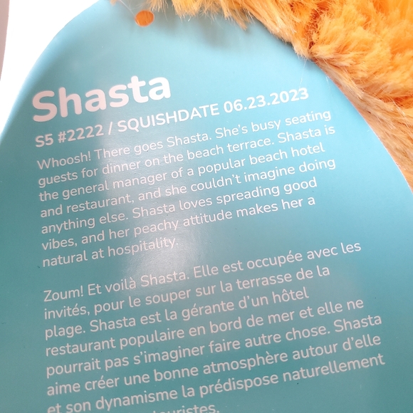 Shasta Squishmallows 5 Inch BNWT Light Orange Bigfoot with Flower Pin - Picture 7 of 7